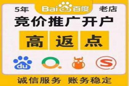 案例解析：SEM助力电商行业快速发展